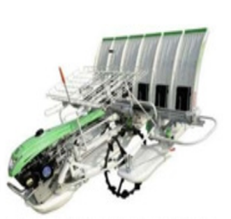 Transplanter